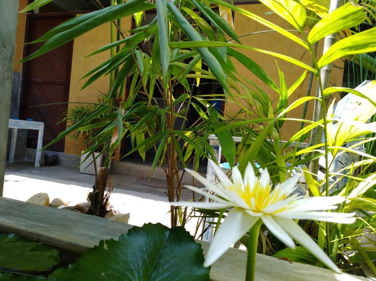 Cycling Backpacker Hostel & Cafe Unawatuna Bagian luar foto